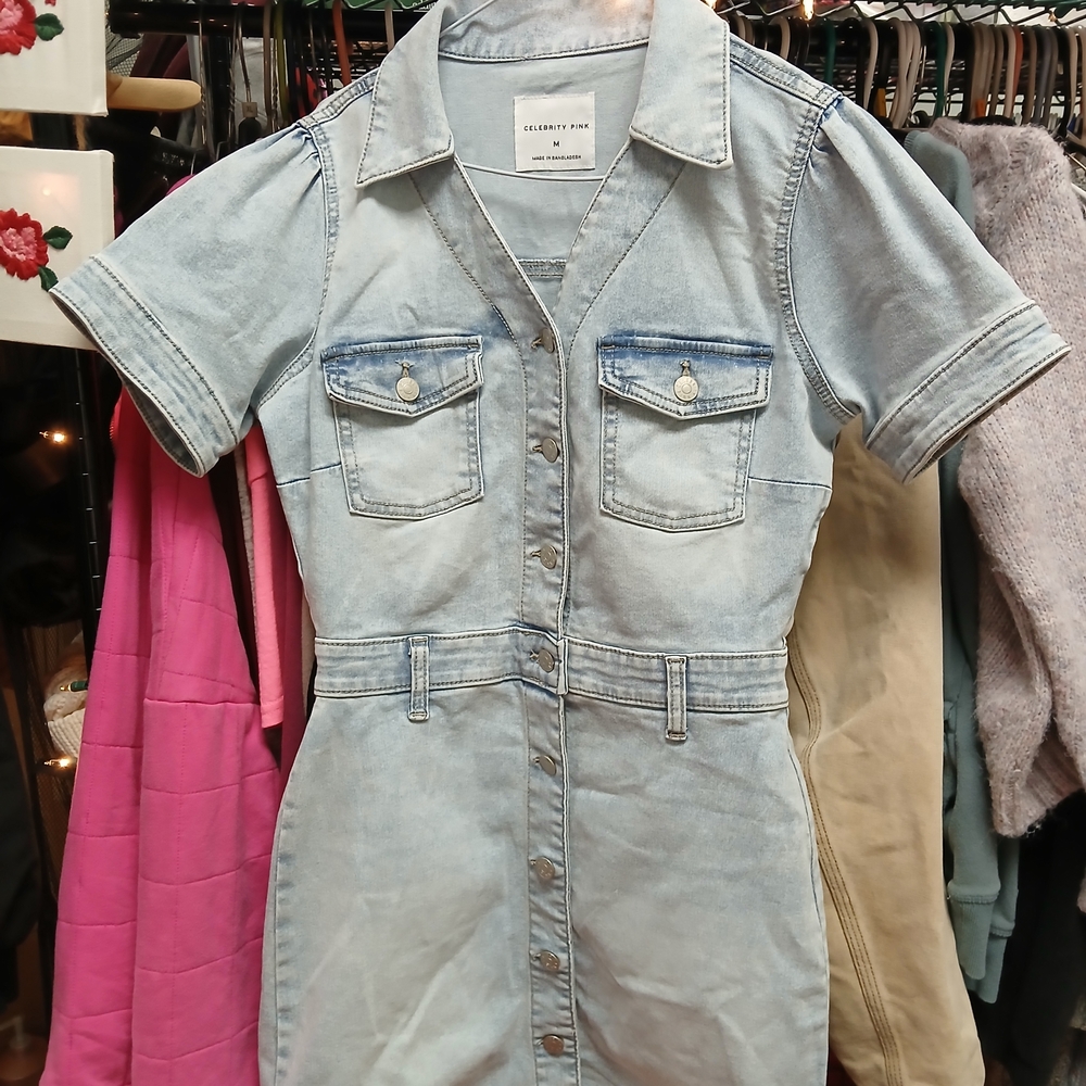Celebrity Pink Light Wash Denim Dress
